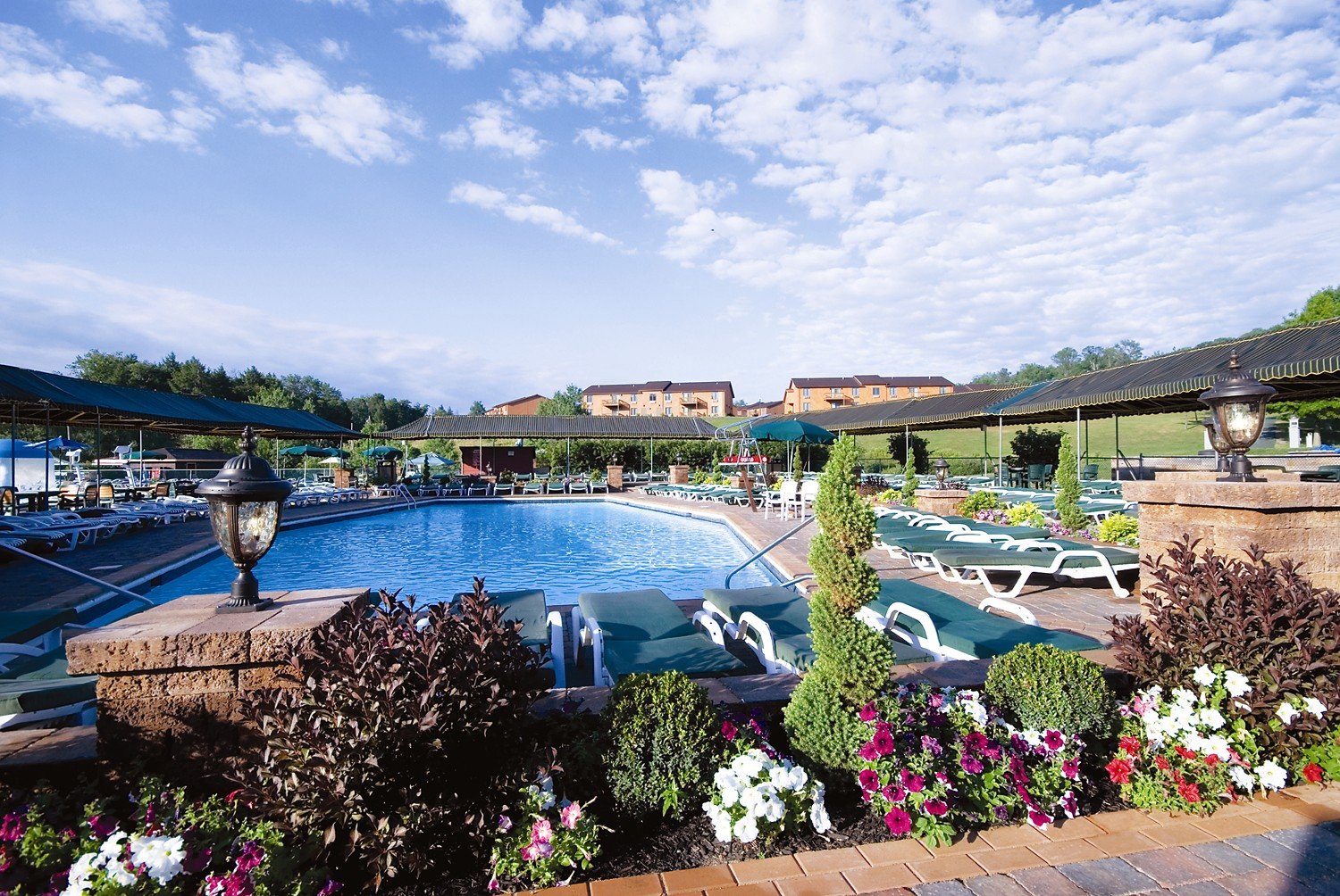 Swimming Pools 