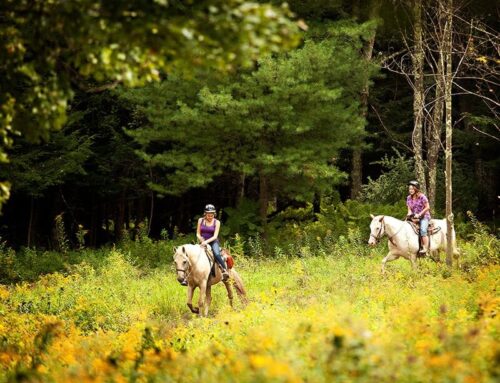 Horseback Riding (Open Seasonally)