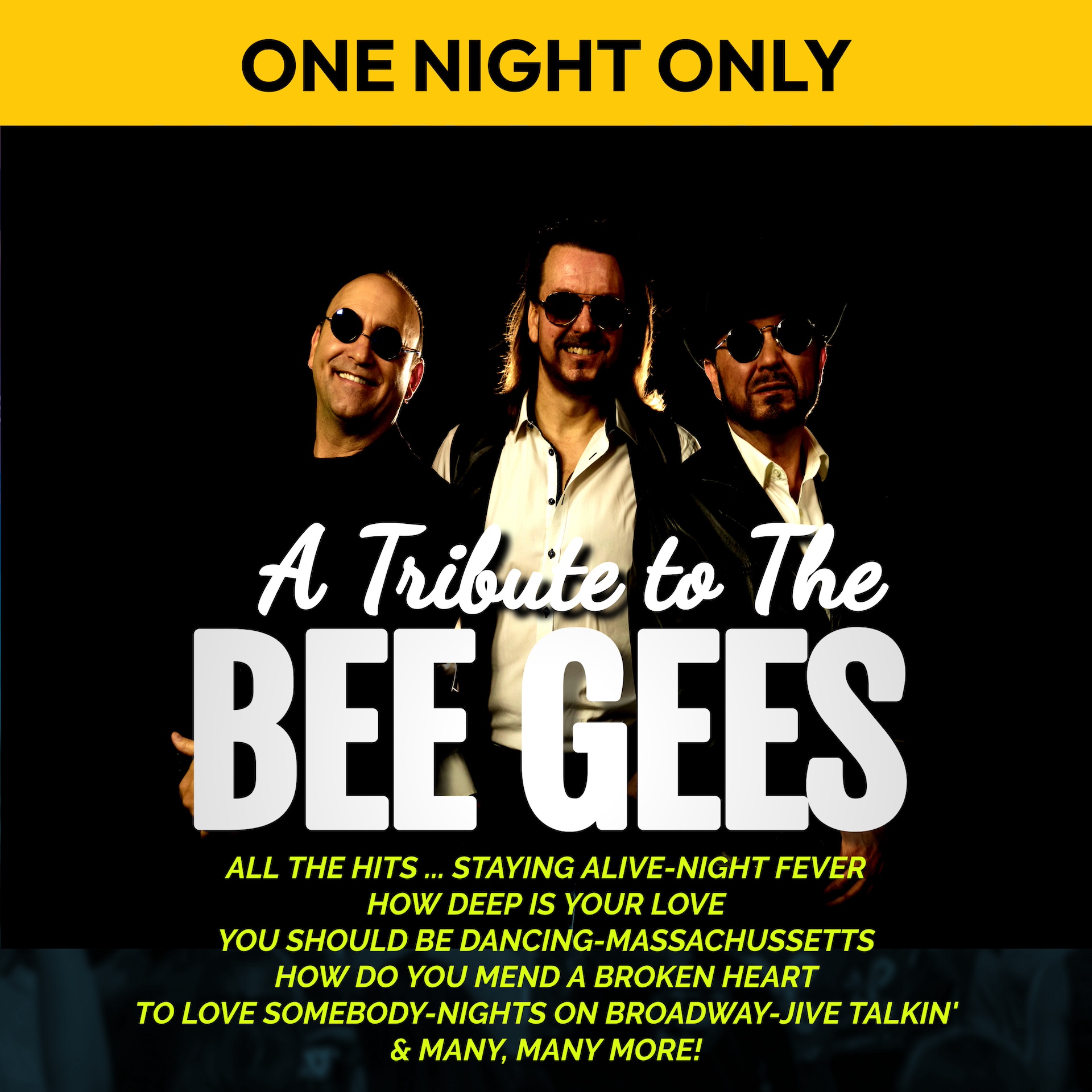 Tribute to The Bee Gees