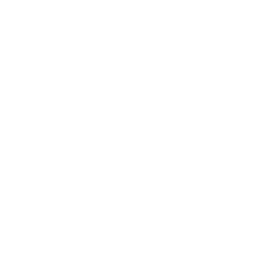 location pointer white icon