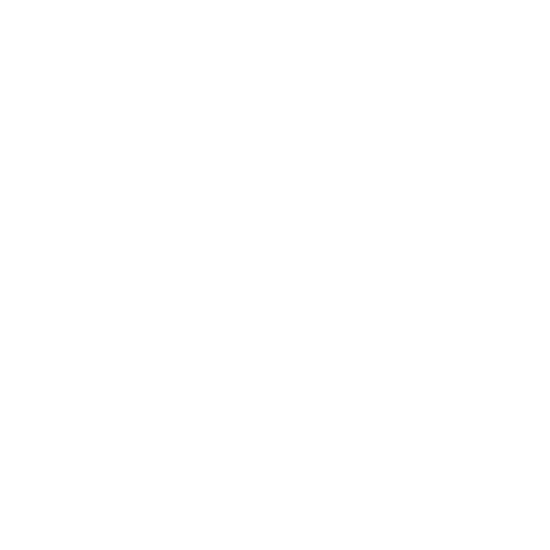 ski