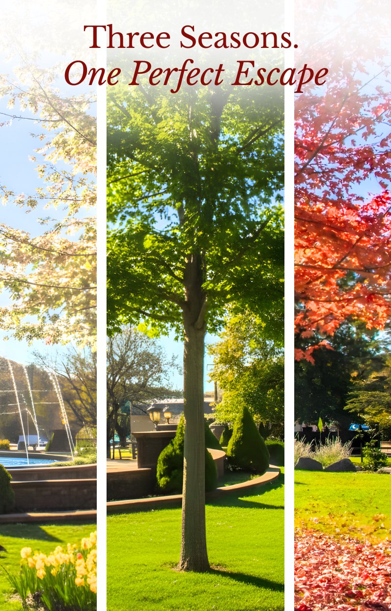 Seasonal Packages Banner1